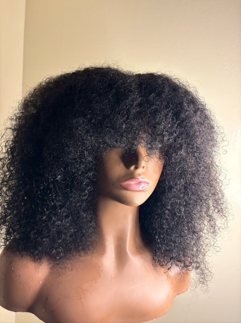 Kinky Curly Wig